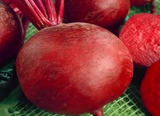 Detroit Dark Red Beetroot Variety from Royal Seed