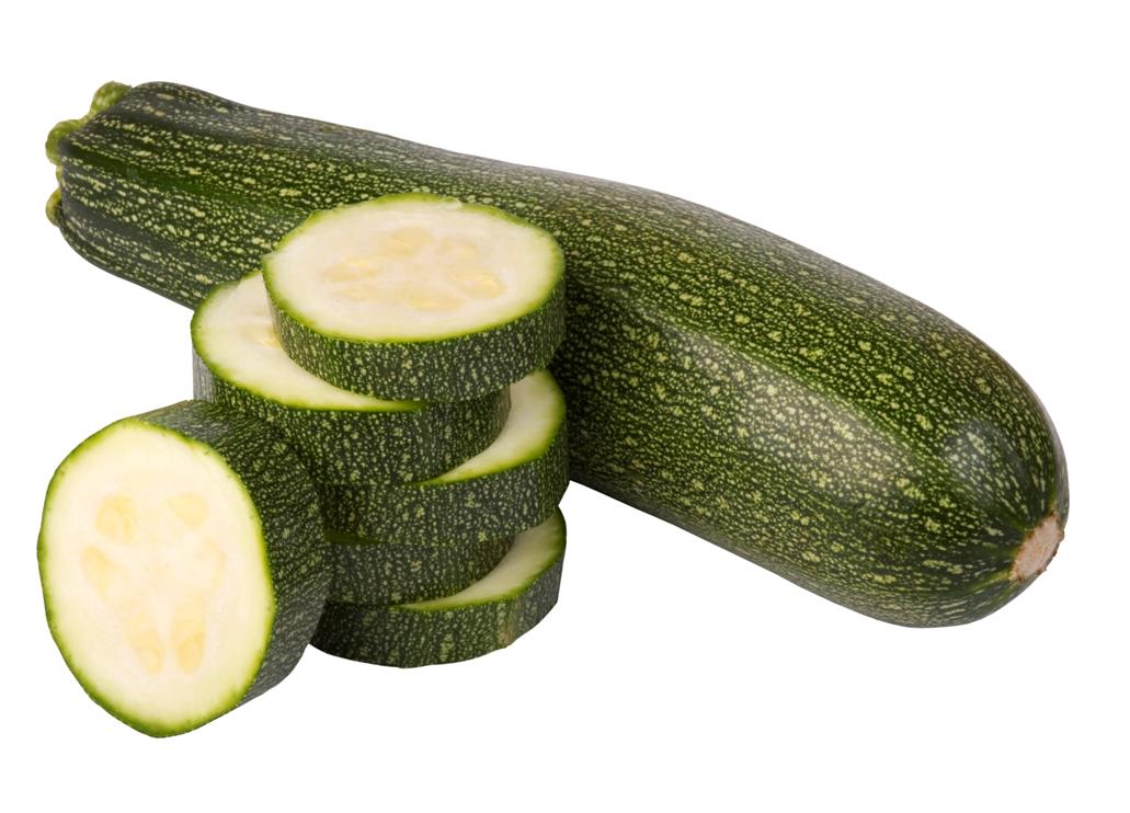 Green Zucchini squash  variety from Royal Seed
