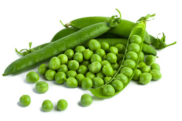 Greenfeast garden pea Variety from Royal Seed