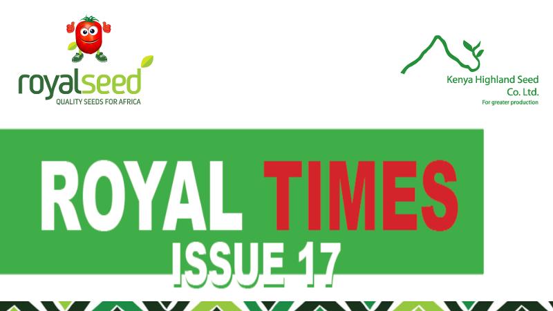Royal Times Newsletter