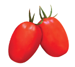 Tomato Harmony F1 from Kenya Highland Seed