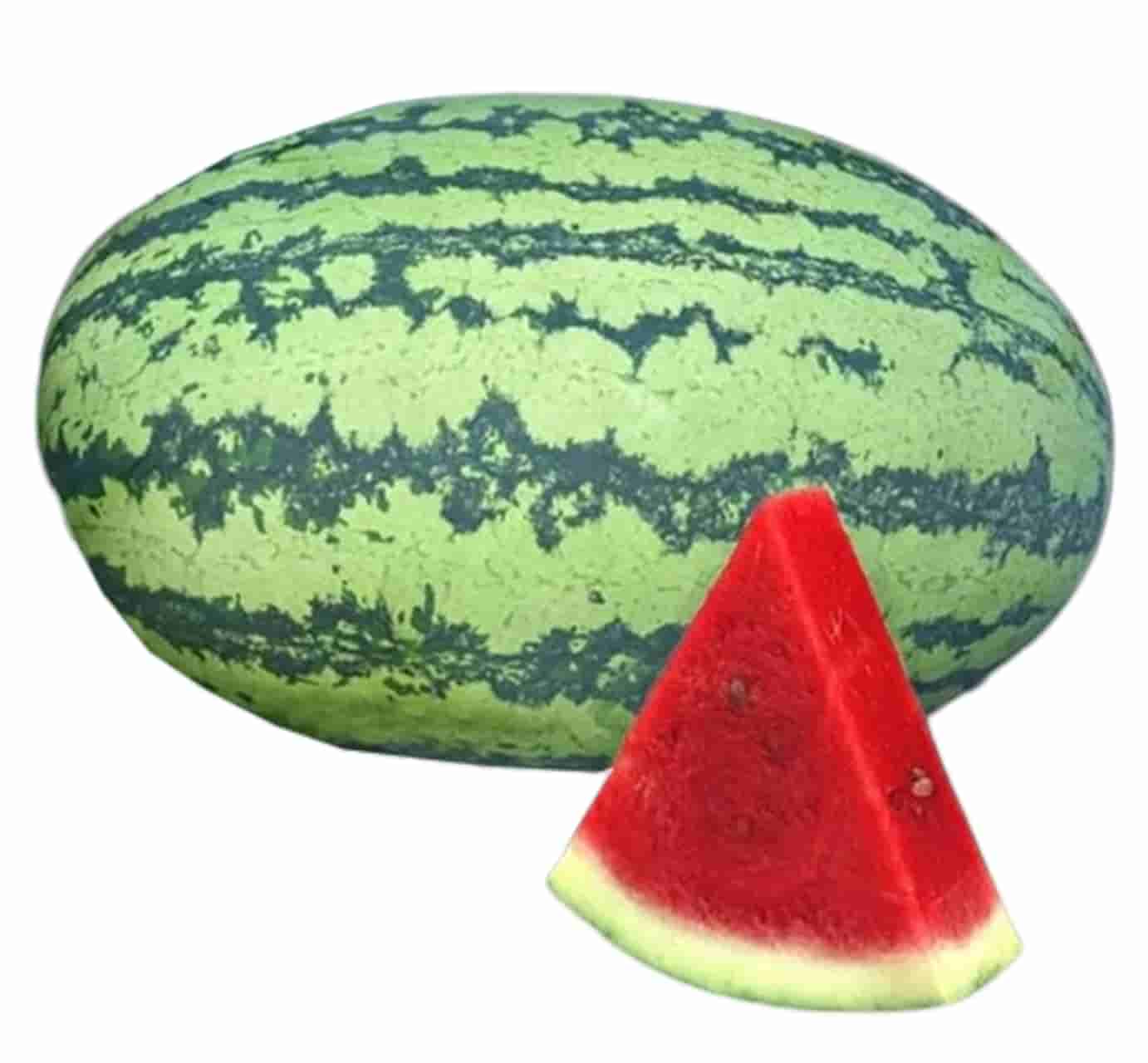 Royal Seed Watermelon 