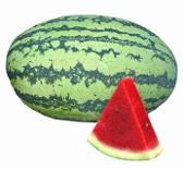Sweet Queen Watermelon by Royal Seed: Early Maturing Variety with High Yield Potential and Excellent Storage