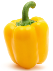 Experience Rich Flavor with Minerva F1 Sweet Pepper from Royal Seed. Cultivate Premium Quality Peppers in Your farm. Order Now!