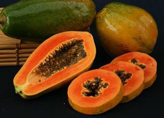Red Royale F1 papaya variety
