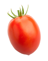 705 F1 Tomato from Kenya Highland Seed