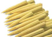 Pac 321 Baby Corn: Corn Variety from Royal Seed