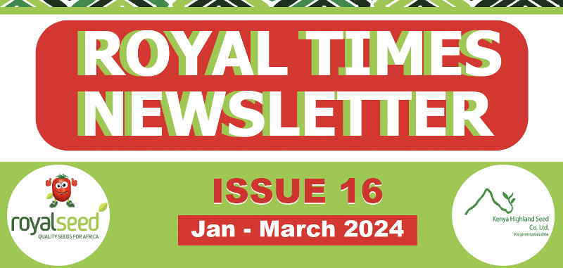Royal Times Newsletter