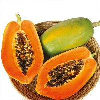 Vega F1 papaya Variety