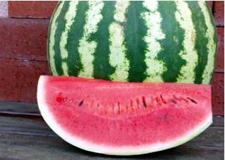 Crimson Sweet Watermelon: Royal Seed's High-Yield Variety with Deep Red, Crispy Flesh