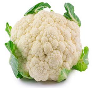 White Fortress F1 cauliflower seeds from Royal Seed, a premium cauliflower variety with heavy dense curds and perfect self-coverage from leaves. Ideal for fresh market, matures in 70-75 days from transplanting, yields 8 to 10 tons per acre, and adapts well to a wide range of agro-ecological zone