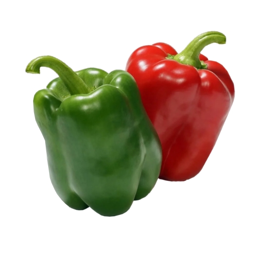 Discover the Wonder of Yolo Wonder Sweet Pepper from Royal Seed. Vibrant and Delicious Peppers for Your farm. Buy Seeds Now