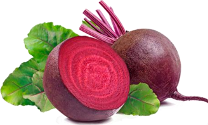 Crimson Globe Beetroot Variety from Royal Seed