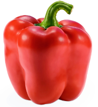 KORI F1 Sweet Pepper: A Vigorous and Cold Tolerant Pepper with a Long Shelf Life from Royal Seed 