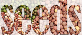 Seed Image banner 
