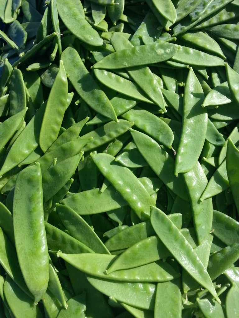 Snow pea harvest from farmer